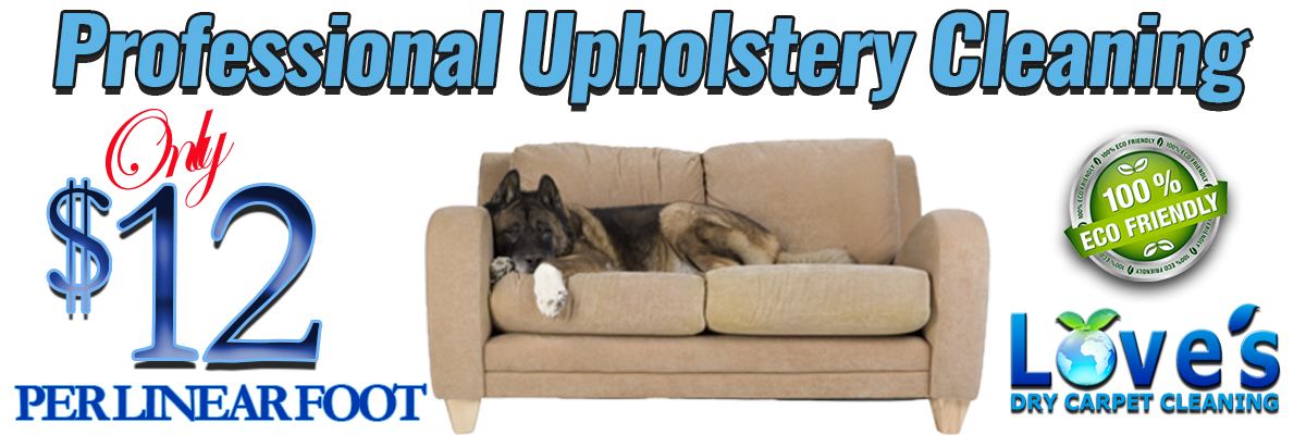 Professional Carpet Cleaning Services (15) carpet cleaning services