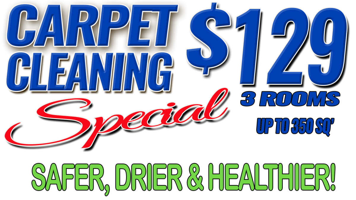 Professional Carpet Cleaning Services (7)