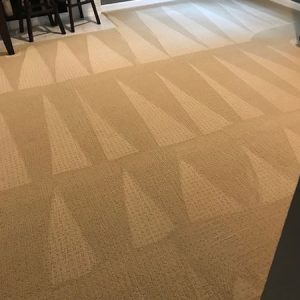Professional carpet cleaning services vacaville