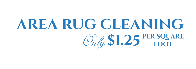 AREA RUG CLEANING area rug cleaning
