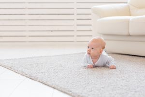 area rug cleaning service