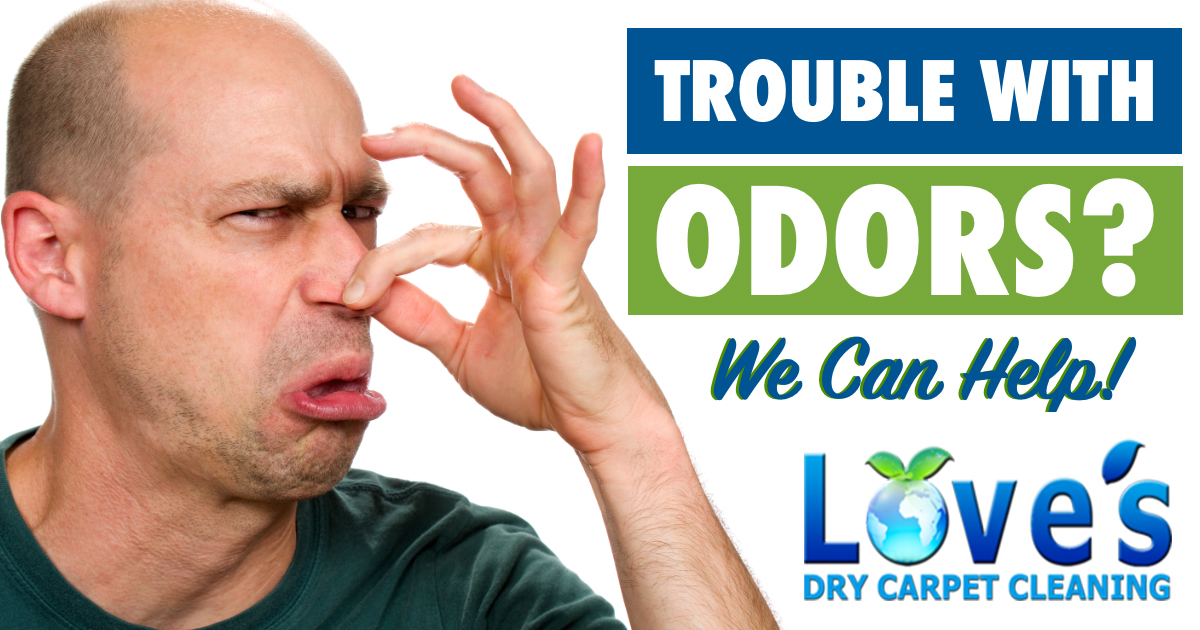 odor removal services